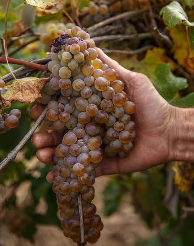 Идеальная <strong>форма</strong> Воплощение <span>высокого качества</span>