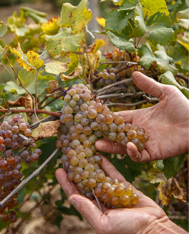 Идеальная <strong>форма</strong> Воплощение <span>высокого качества</span>