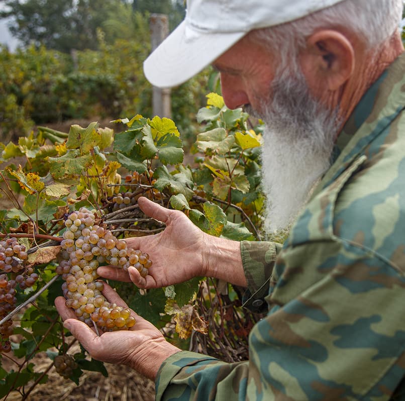 Идеальная <strong>форма</strong> Воплощение <span>высокого качества</span>